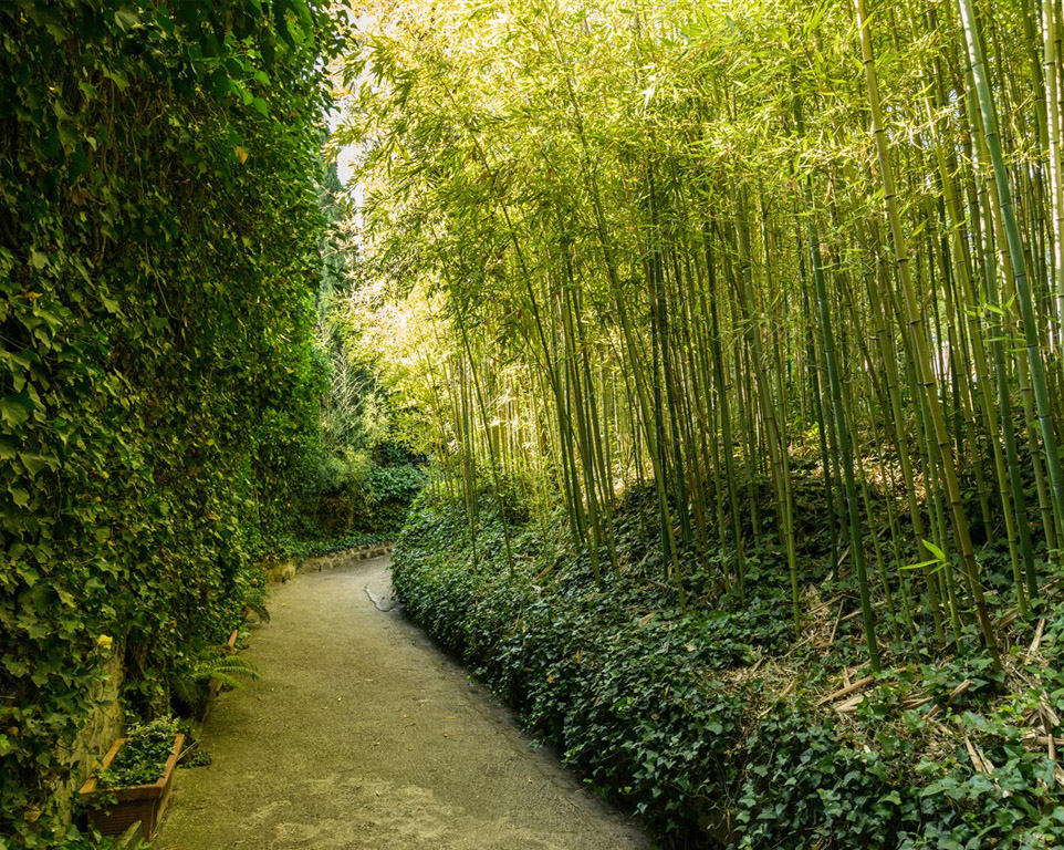 Canonica dei fiori Anna Fendi